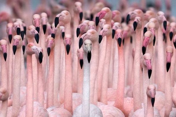 Acid picdump (163 pics) Acid picdump (163 pics)