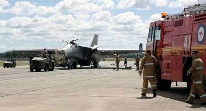 Birds vs Planes (25 pics)