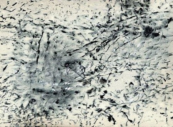 Little Artist (11 pics)