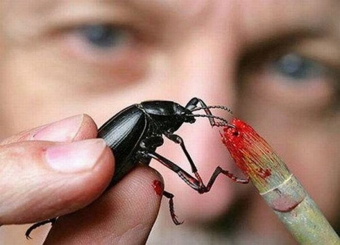 Little Artist (11 pics)