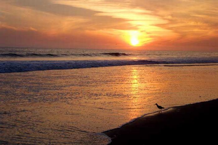 Beautiful sunsets (39 pics)