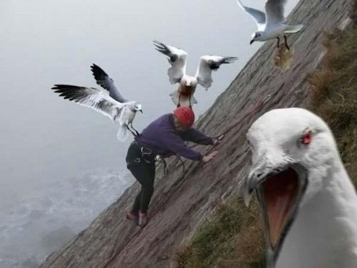 Acid Picdump (110 pics)