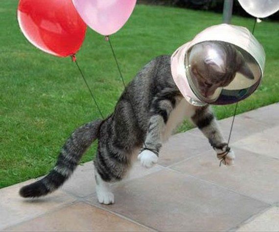 Acid Picdump (110 pics)