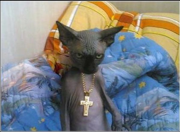 Acid Picdump (110 pics)