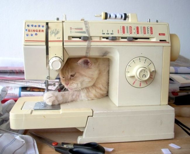 Acid Picdump (110 pics)