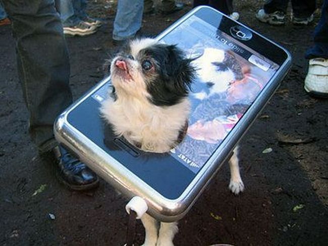 Acid Picdump (110 pics)