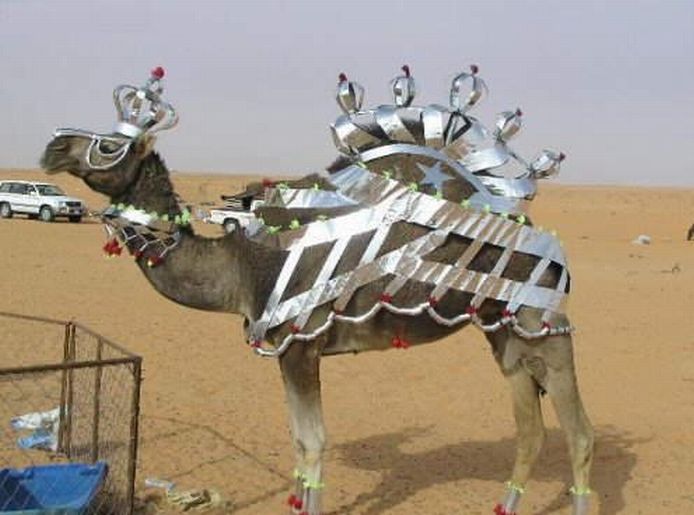 Acid Picdump (106 pics)