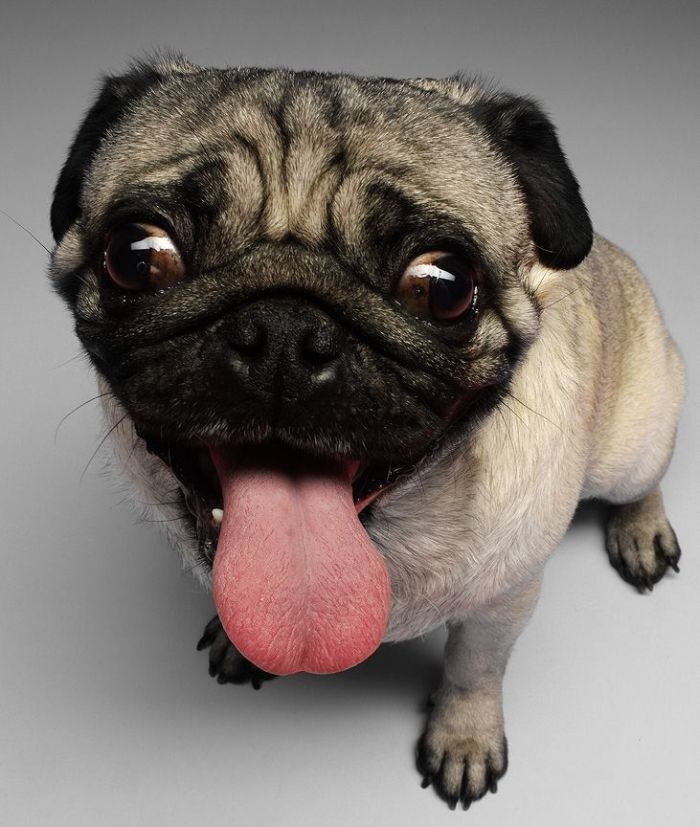 Acid Picdump (106 pics)