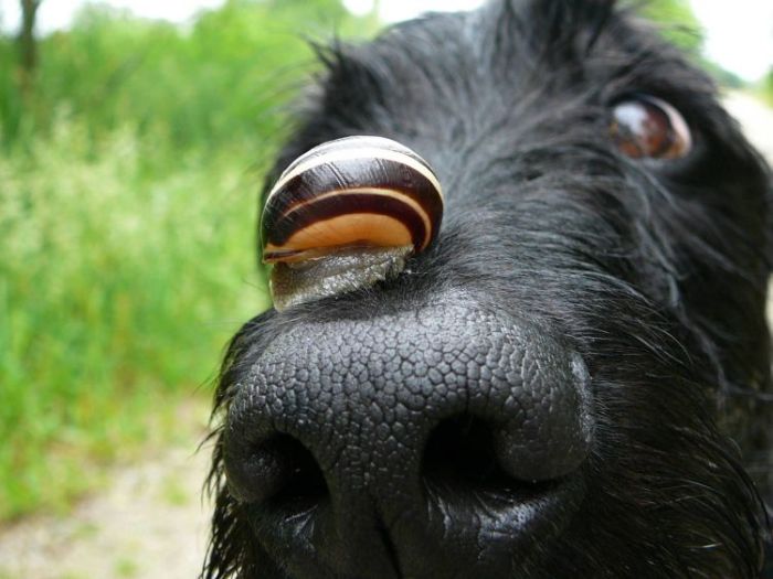 Acid Picdump (106 pics)