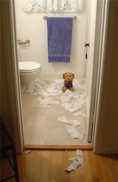 Acid Picdump (106 pics)