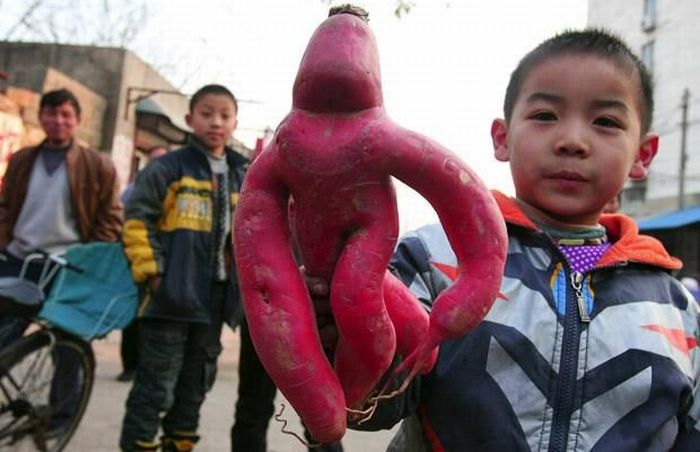 Acid Picdump (106 pics)