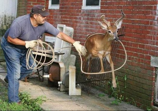 Acid Picdump (106 pics)