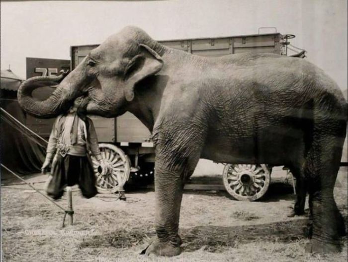 Acid Picdump (106 pics)