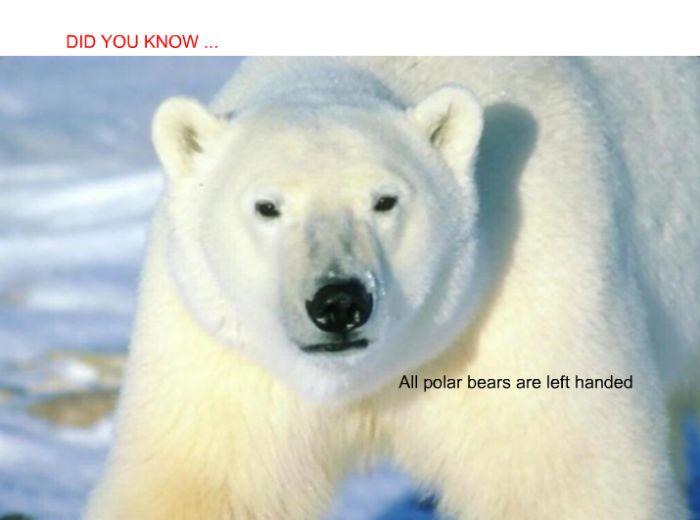 Interesting facts (24 pics)