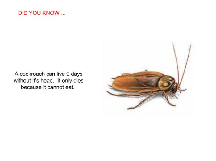Interesting facts (24 pics)