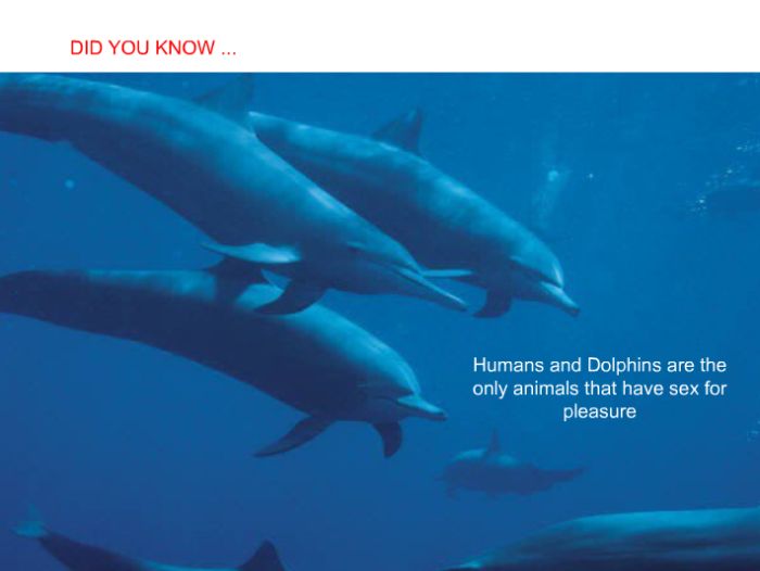 Interesting facts (24 pics)