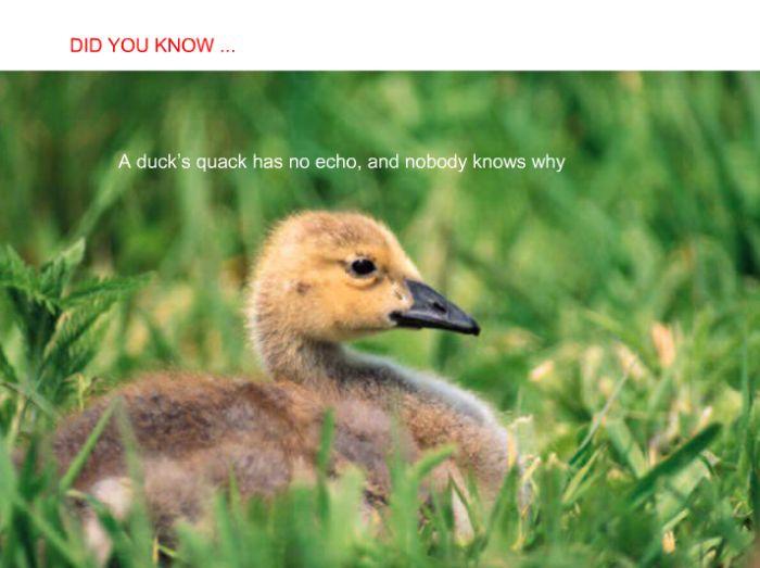 Interesting facts (24 pics)