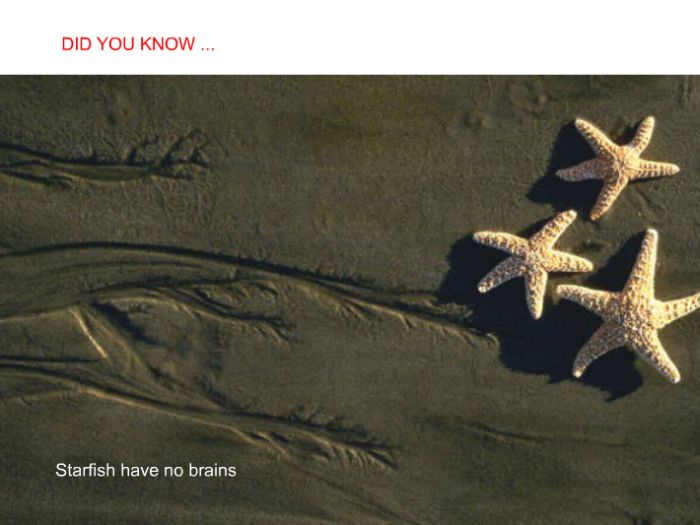 Interesting facts (24 pics)