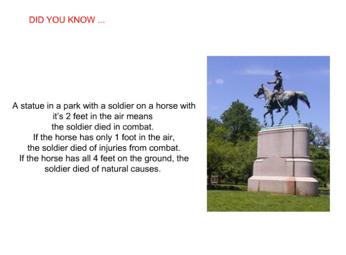 Interesting facts (24 pics)