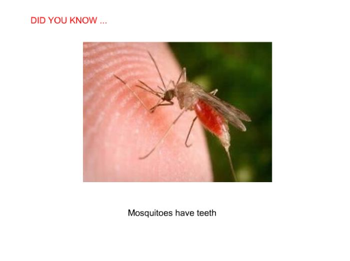 Interesting facts (24 pics)
