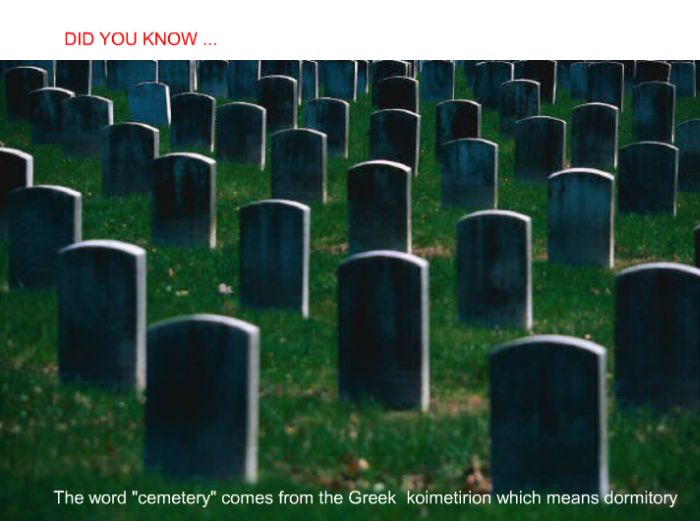 Interesting facts (24 pics)