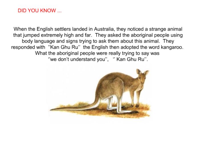 Interesting facts (24 pics)