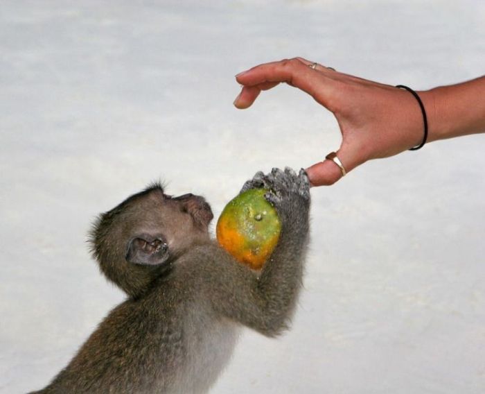 Acid Picdump (88 pics)