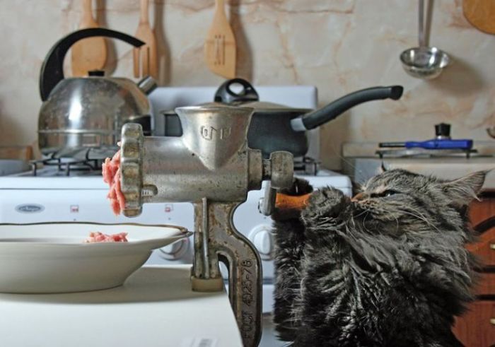 Acid Picdump (88 pics)