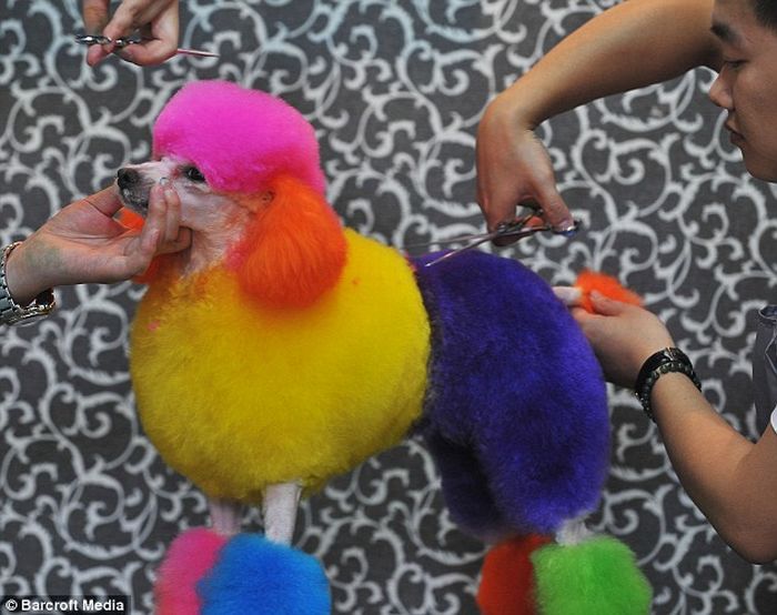 Acid Picdump (88 pics)