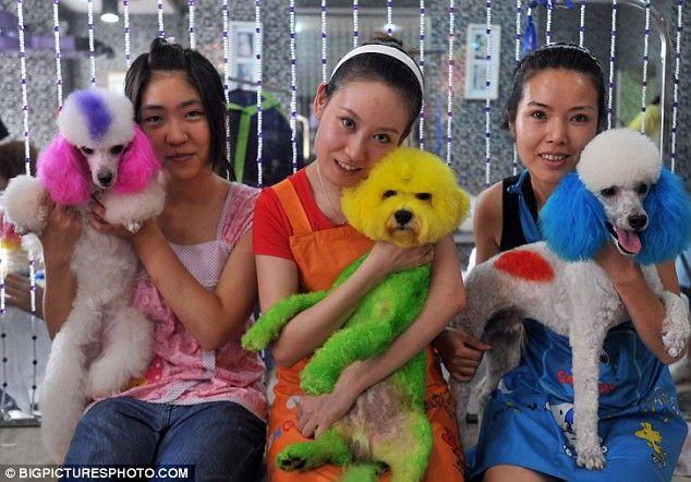 Acid Picdump (88 pics)