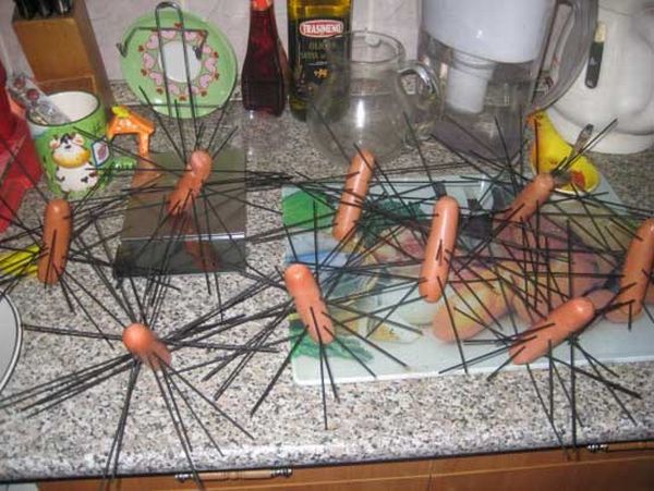 Haired Sausages (11 pics)
