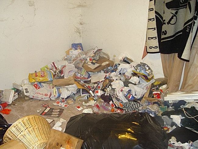 Trash apartment (30 pics)