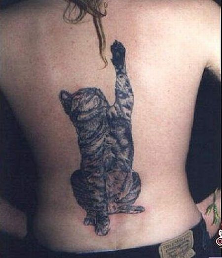 Acid Picdump(86 pics)