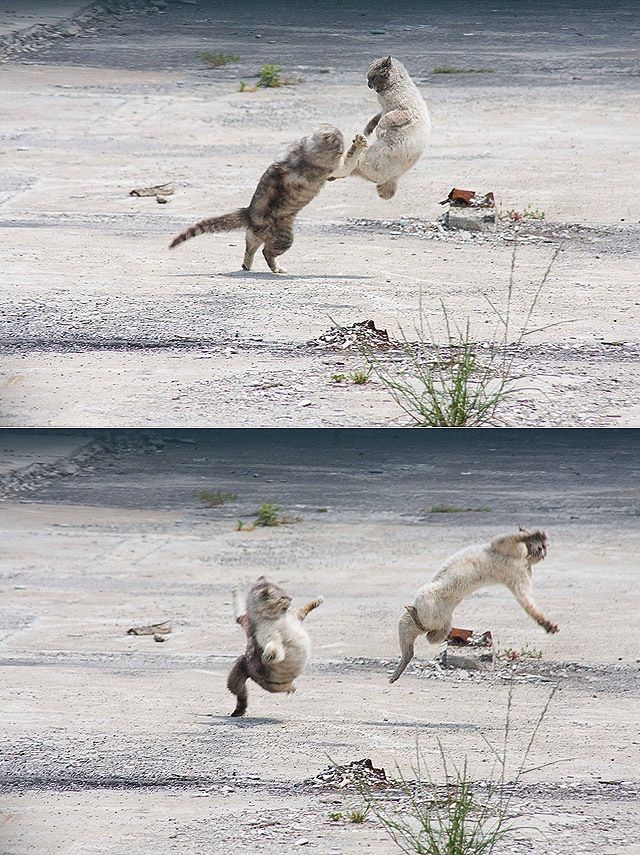 Acid Picdump(86 pics)