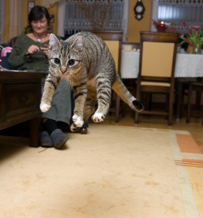 Acid Picdump(86 pics)
