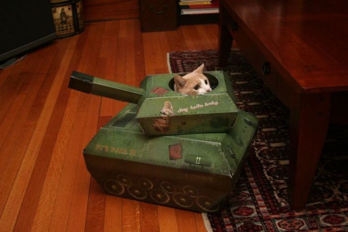 Acid Picdump(86 pics)