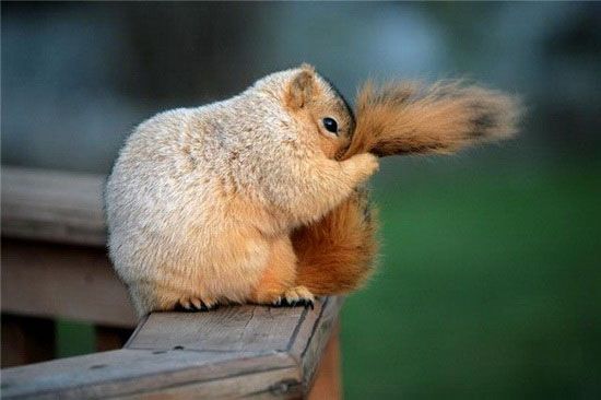 Acid Picdump(86 pics)