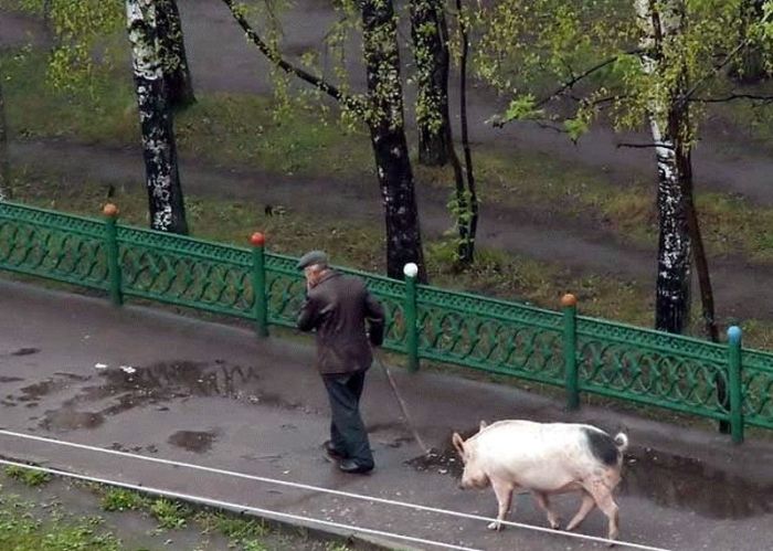 Acid Picdump(86 pics)