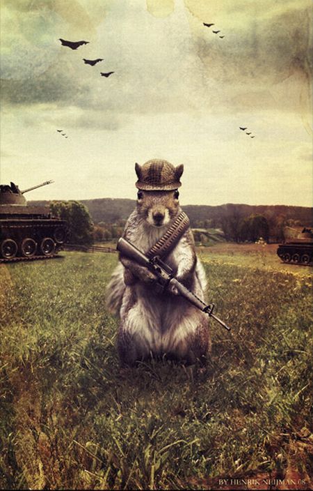 Acid Picdump(86 pics)