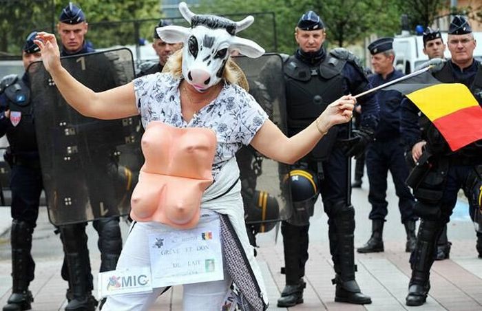 Acid Picdump(86 pics)