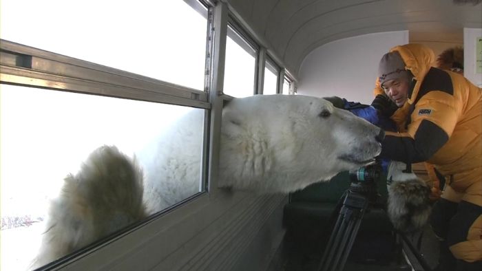 Acid Picdump(86 pics)