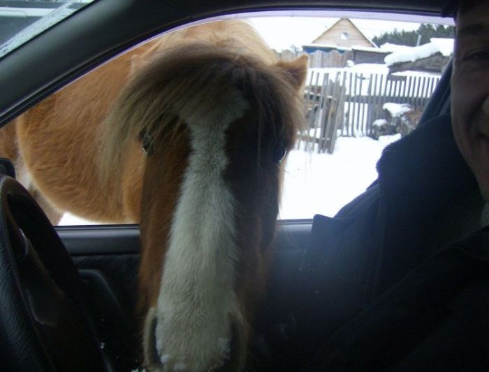 Acid Picdump (123 pics)