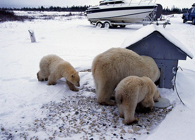 Acid Picdump (123 pics)