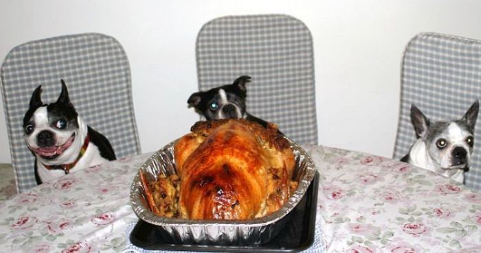 Acid Picdump (123 pics)