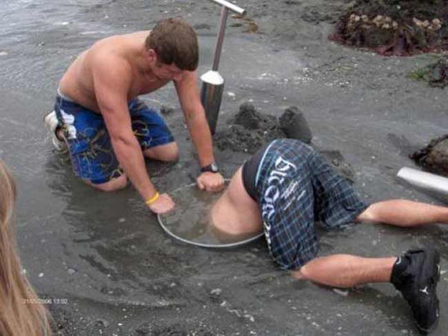 Acid Picdump (123 pics)