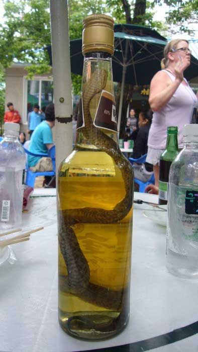 Snake liquors (17 pics)
