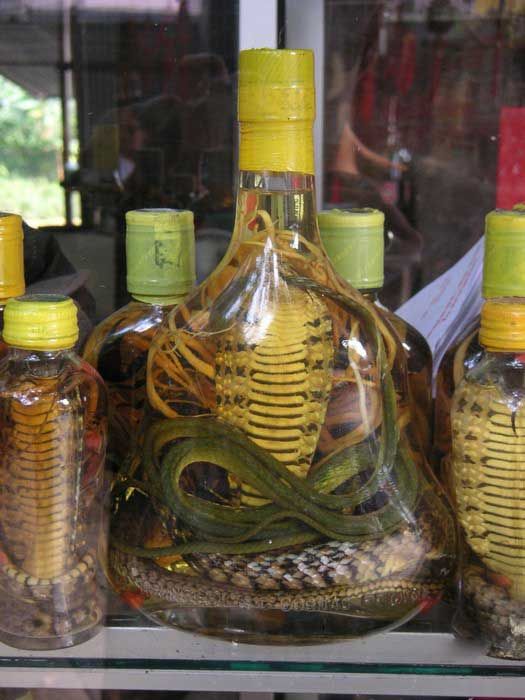 Snake liquors (17 pics)