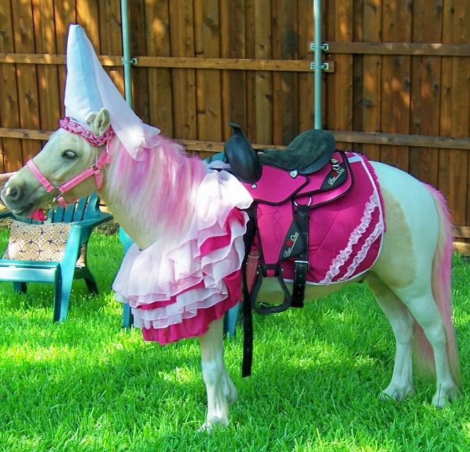 Acid picdump (101 pics)