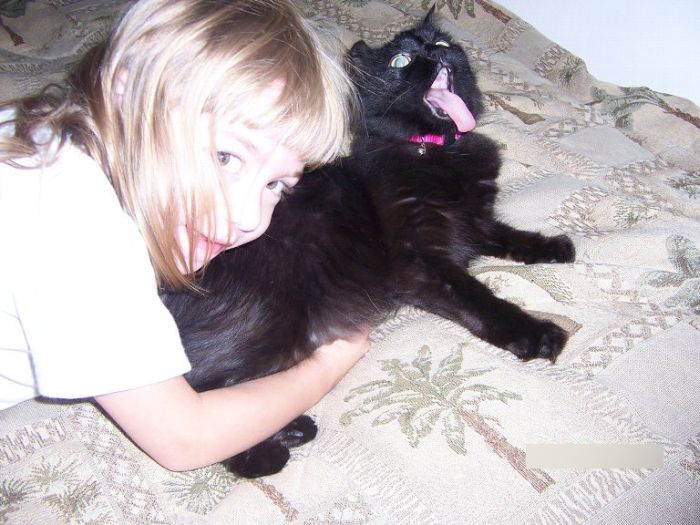 Acid picdump (101 pics)