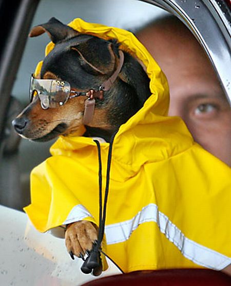 Acid picdump (101 pics)